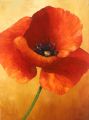 Coquelicot 25P 81x60 n°3 - Fleurs