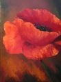 Coquelicot 25F 81x65 n°4 - Fleurs