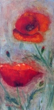 Coquelicots    60x30  2016 - Fleurs