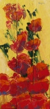 Coquelicots dans un champ de blé - Fleurs