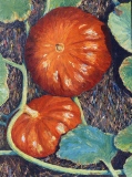 Potirons aux champs 20P 73x54 Acrylique - Potager