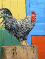 Coq 5F 35x27 Vendue - Basse-cour
