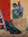 Coq et poules 15P 65x50 - Basse-cour