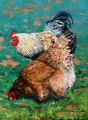 Coq et poule dans la prairie 20P 73x54 - Basse-cour