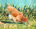 Poule 8F 46x38 - Basse-cour