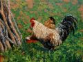 Coq et poule buvant 12P 61x46 - Basse-cour