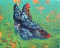 Poules dans la prairie 6F 41x33 - Basse-cour