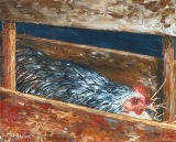 Poule couvant 6F 41x33 huile - Basse-cour