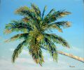 Cocotier 10F 55x46 - Les Antilles