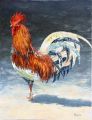 Coq antillais du village 15P 65x50 - Les Antilles