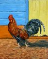 Coq antillais 15F 65x54 - Les Antilles