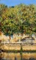 Falaise au bord de la Vézère 15M 65x46 vendue - Paysages périgourdins