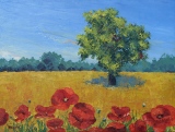 Coquelicots au bord d'un champ de blé - Paysages vendéens