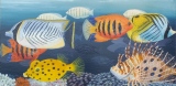 Poissons exotiques 40x80 n°10 - Polynésie