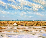 Marais salants, la brouette rouge 8F 46x38 huile - Marais salants