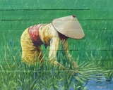 Vietnamienne dans son champs de riz 86x108 Acrylique sur bois 