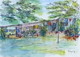 Habitation en tôle et bois dans la tribu de Tiaoué à Koné, Nouvelle Calédonie - Nouvelle Calédonie