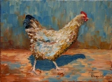 Poule marocaine - Maroc