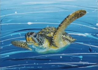 Tortue du Pacifique Tahiti n°2 - Poissons exotiques