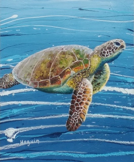Tortue du Pacifique Tahiti n°3 8F 46x38 - Poissons exotiques