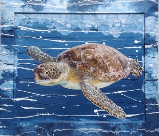 Tortue du Pacifique 82x95  n°6 - Poissons exotiques