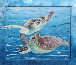 Tortues du Pacifiques Tahiti  n°7 - Poissons exotiques