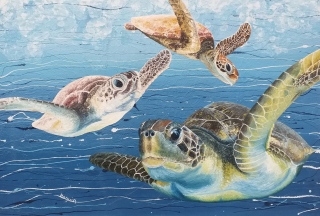 Tortues du Pacifique Tahiti n°8  60P 89x130 - Poissons exotiques