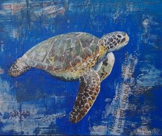 Tortue du Pacifique n°11 8F 38x46 - Poissons exotiques
