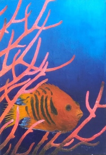 Poisson Ange flamme 10P 55x38 - Poissons exotiques