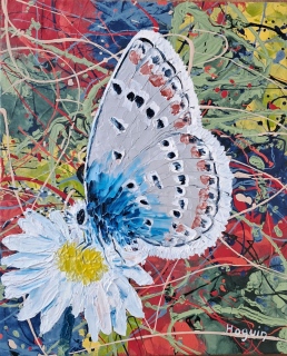 Papillon dans un champs de blé au printemps n°12   3F 27x22 - Papillons