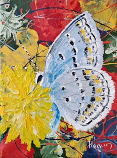 Papillon dans les mouvements climatiques n° 14   18x13.5 - Papillons