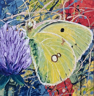 Papillon dans les mouvements climatiques n°15   20x20 - Papillons