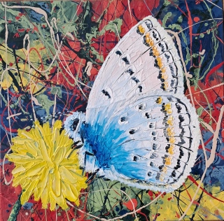 Papillon dans les mouvements climatiques n°16   24x24 - Papillons