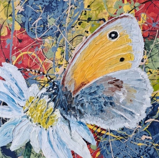 Papillon dans les mouvements n°17 - Papillons