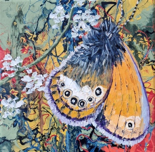 Papillon dans les mouvements climatiques n°19 - Papillons