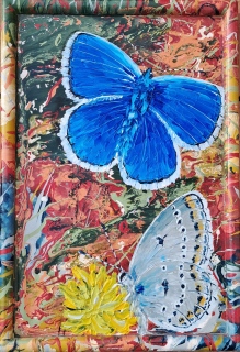 Papillon dans les mouvements climatiques n° 20 - Papillons