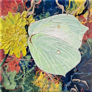 Papillon dans les mouvements climatiques n°19 - Papillons