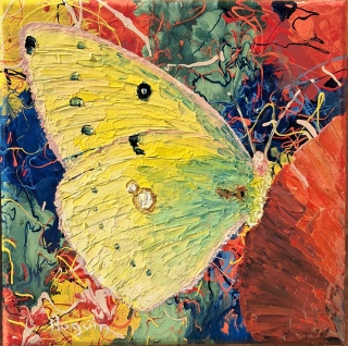 Papillon dans les mouvements climatiques n°19 - Papillons