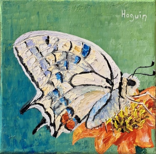 Papillon dans un champ de blé au printemps n°26 - Papillons