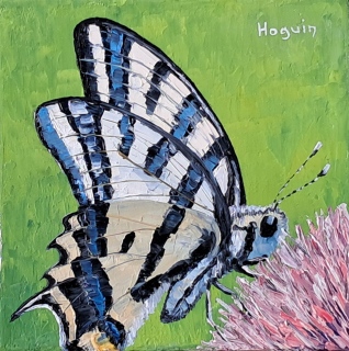 Papillon dans un champ de blé au printemps n°27 - Papillons